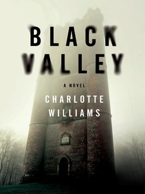 cover image of Black Valley